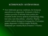Moliuskų rūšys 5 puslapis