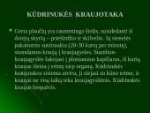 Moliuskų rūšys 6 puslapis