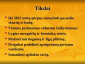 Monterėjaus konsensusas 6 puslapis