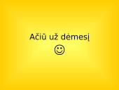 Moterų diskriminacijos problema darbe 17 puslapis