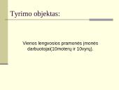 Moterų padėtis darbe privačioje įmonėje 3 puslapis