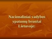 Nacionaliniai vadybos ypatumai 11 puslapis