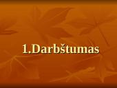 Nacionaliniai vadybos ypatumai 12 puslapis