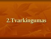 Nacionaliniai vadybos ypatumai 13 puslapis