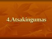 Nacionaliniai vadybos ypatumai 15 puslapis