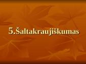 Nacionaliniai vadybos ypatumai 16 puslapis