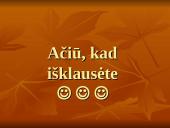 Nacionaliniai vadybos ypatumai 19 puslapis