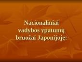 Nacionaliniai vadybos ypatumai 5 puslapis