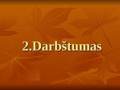 Nacionaliniai vadybos ypatumai 7 puslapis