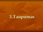 Nacionaliniai vadybos ypatumai 8 puslapis