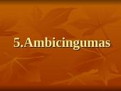 Nacionaliniai vadybos ypatumai 10 puslapis