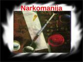 Skaidrės apie narkomaniją 2 puslapis