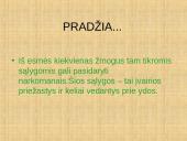 Skaidrės apie narkomaniją 12 puslapis