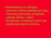 Skaidrės apie narkomaniją 3 puslapis