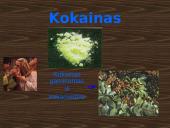 Skaidrės apie narkomaniją 4 puslapis