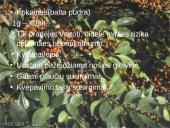 Skaidrės apie narkomaniją 5 puslapis