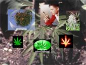 Skaidrės apie narkomaniją 9 puslapis