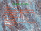 Skaidrės apie narkomaniją 10 puslapis