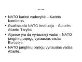 NATO organizacijos istorija 15 puslapis