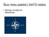 NATO organizacijos istorija 3 puslapis