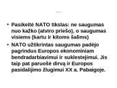 NATO organizacijos istorija 5 puslapis