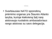 NATO organizacijos istorija 7 puslapis