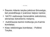 NATO organizacijos istorija 8 puslapis