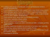 Natrio metalas 3 puslapis