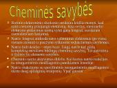 Natrio metalas 6 puslapis