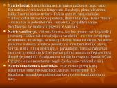 Natrio metalas 10 puslapis