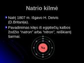 Natris. Skaidrės 4 puslapis
