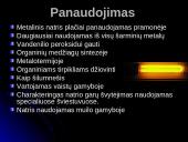 Natris. Skaidrės 8 puslapis