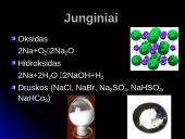 Natris. Skaidrės 10 puslapis