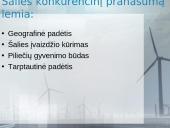 Natūralūs ištekliai ir darnus vystymasis 2 puslapis