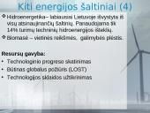 Natūralūs ištekliai ir darnus vystymasis 11 puslapis