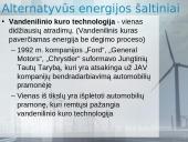 Natūralūs ištekliai ir darnus vystymasis 13 puslapis