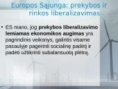 Natūralūs ištekliai ir darnus vystymasis 20 puslapis