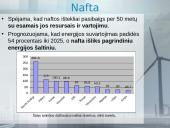 Natūralūs ištekliai ir darnus vystymasis 7 puslapis