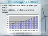 Natūralūs ištekliai ir darnus vystymasis 8 puslapis