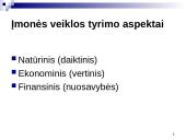 Natūrinis (daiktinis) įmonės veiklos tyrimo aspektas 2 puslapis