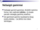 Natūrinis (daiktinis) įmonės veiklos tyrimo aspektas 11 puslapis