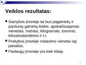 Natūrinis (daiktinis) įmonės veiklos tyrimo aspektas 12 puslapis