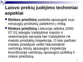 Natūrinis (daiktinis) įmonės veiklos tyrimo aspektas 19 puslapis