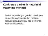 Natūrinis (daiktinis) įmonės veiklos tyrimo aspektas 7 puslapis