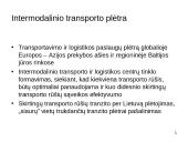 Naujausios Lietuvos transporto veiklos strateginės kryptys 13 puslapis