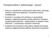 Naujausios Lietuvos transporto veiklos strateginės kryptys 16 puslapis