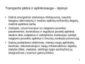 Naujausios Lietuvos transporto veiklos strateginės kryptys 17 puslapis