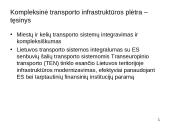 Naujausios Lietuvos transporto veiklos strateginės kryptys 8 puslapis