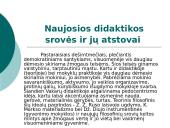 Naujosios didaktikos srovės ir jų atstovai 2 puslapis