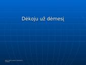 Lietuvos Respublikos užimtumo didinimo programa 12 puslapis